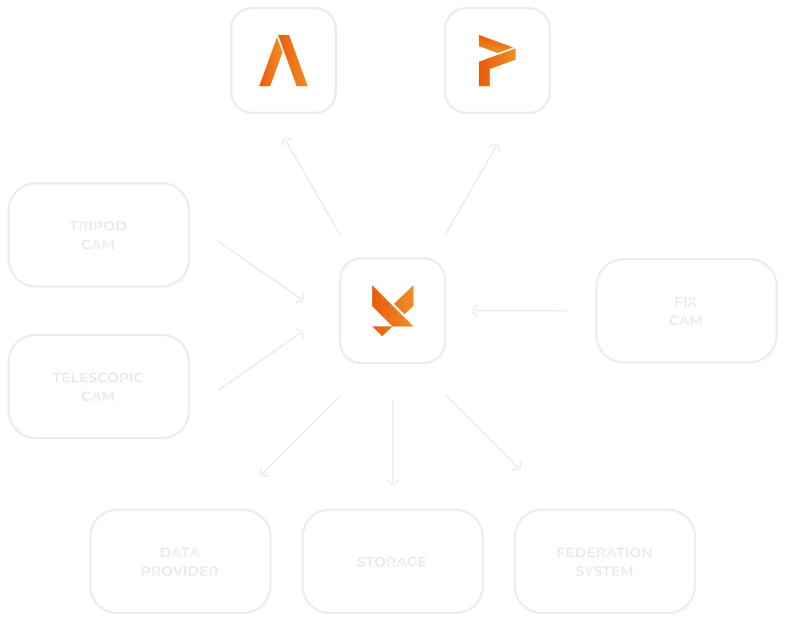 Diagram illustrating the collaboration between Panoris and its partners